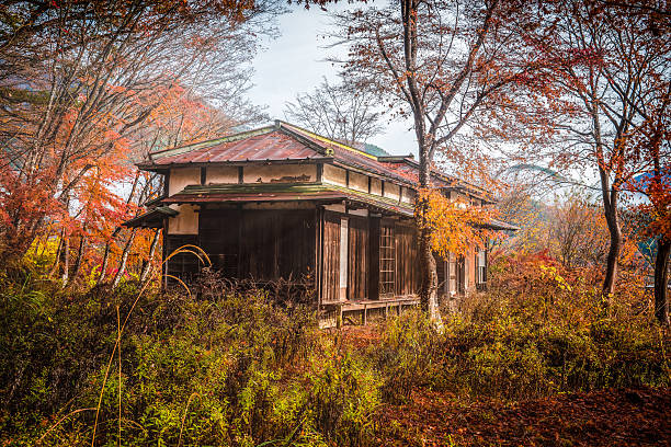 istock abandoned old wooden house 585089552