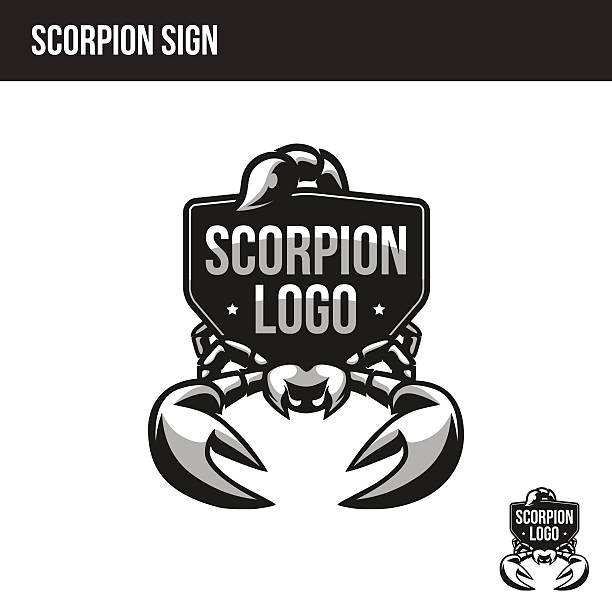 ilustrações de stock, clip art, desenhos animados e ícones de scorpion logo with place for your text - escorpião aracnídeo