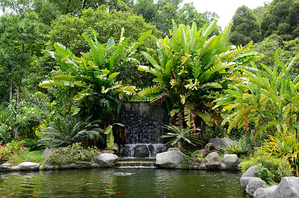 ботанический сад пердана - tropical climate waterfall formal garden ornamental garden стоковые фото и изображения