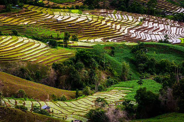 Regione Amministrativa Cordillera Immagine Foto e Immagini Stock iStock