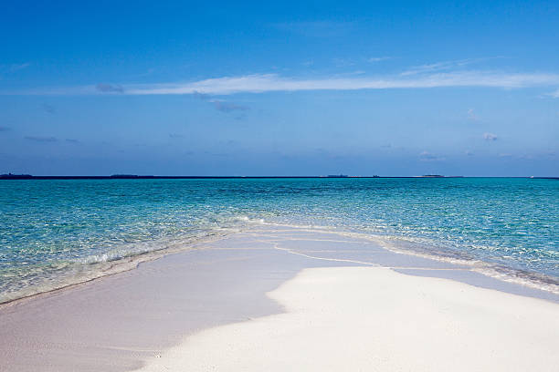 istock Clear white sand on Maldive island coast 585093096