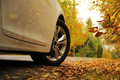 White car on autumn background