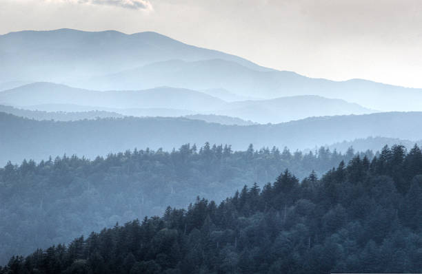 layers of the great smoky mountains. - great smoky mountains great smoky mountains national park mountain smoke imagens e fotografias de stock