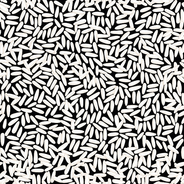 stockillustraties, clipart, cartoons en iconen met black and white rice vector abstract seamless pattern - rijst stapelvoedsel