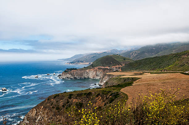 istock Cost of California 585151702