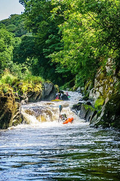 Canoeists riding the rapids Cenarth, UK - July 31, 2016: Two male and one female canoeist riding the rapids on the River Teifi at Cenarth teifi river stock pictures, royalty-free photos & images