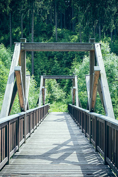 istock Wooden bridge in the forest 585153110