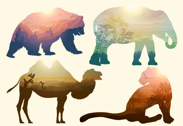 Vector illustration of Bear, elephant, camel and Leopard for your design, wildlife concept