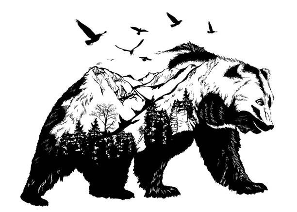 Hand drawn bear for your design, wildlife concept Hand drawn bear for your design, wildlife concept tattoo silhouettes stock illustrations