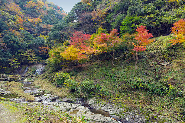 Japanese canyon in autumn