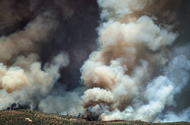 istock Dense White Smoke Rising from the Raging Wildfire 585159266