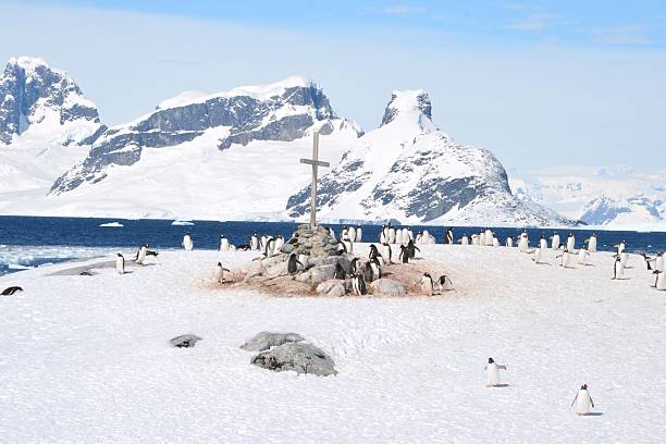 Petermann Memorial A memorial for early explorers is surrounded by penguins on Petermann Island, Antarctica. petermann island photos stock pictures, royalty-free photos & images