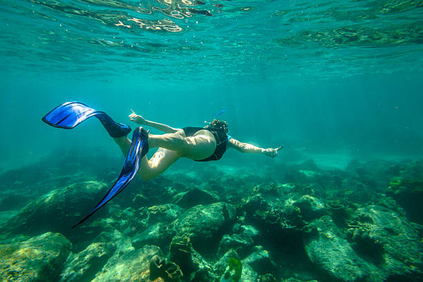 istock Apnea in tropical sea 585162454
