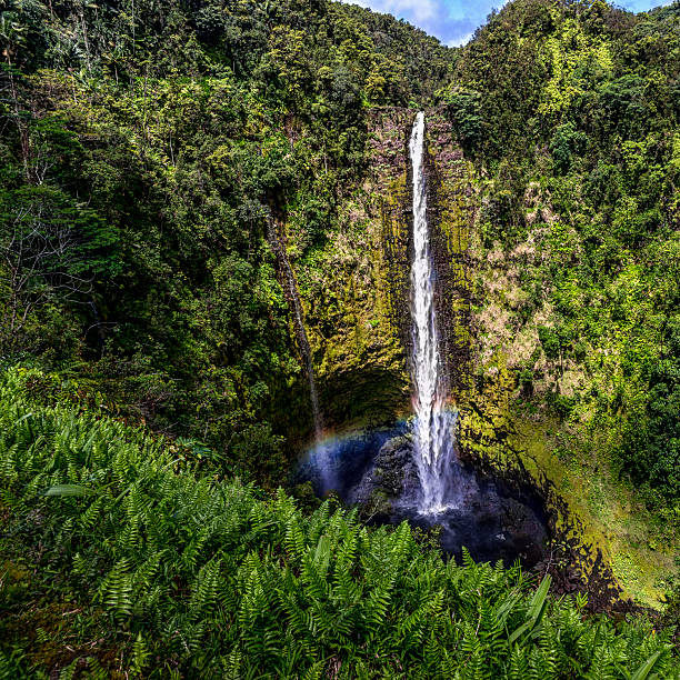 istock Akaka Falls with Rainbow in HI 585163658