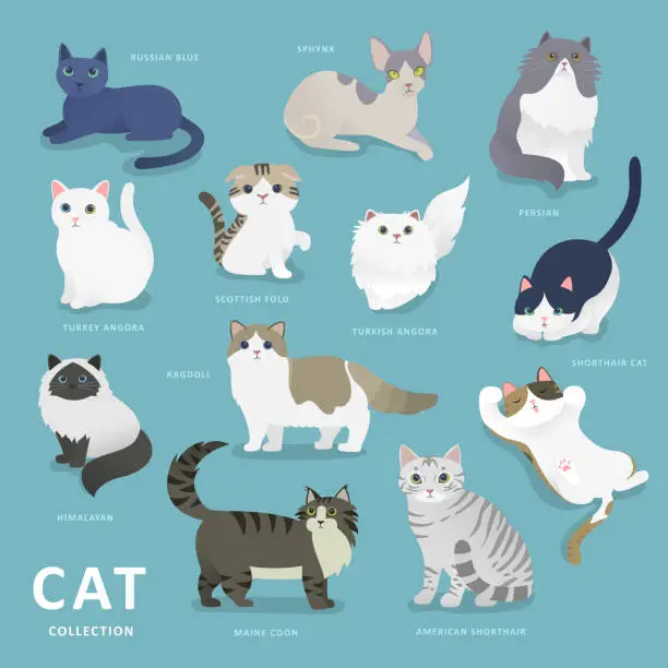 Vector illustration of Adorable cat breeds collection