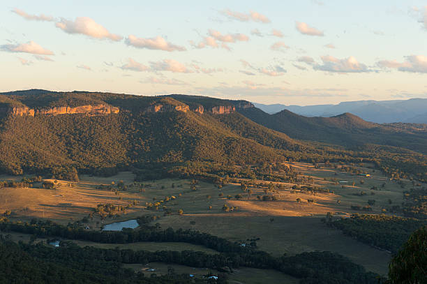 istock Eucalyptus forest of Blue Mountains National Park 585164492