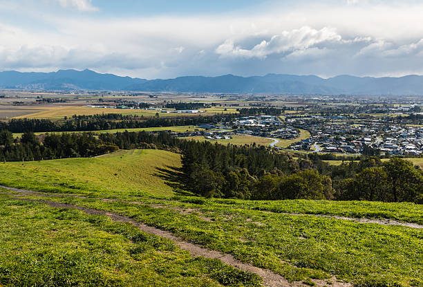 pianure di blenheim e wairau da wither hills, nuova zelanda - blenheim foto e immagini stock