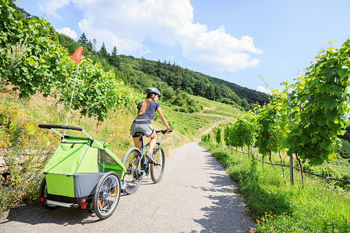 Young parent cycling through vineyards with bike trailer