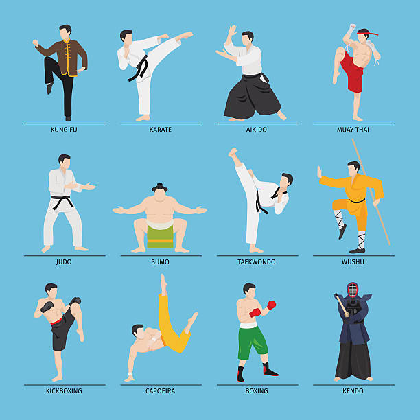 Asian martial arts vector illustration Asian martial arts vector illustration. Karate and kung fu, sumo and boxing boxing sport illustrations stock illustrations