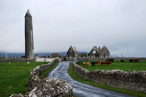 Ruined abbey