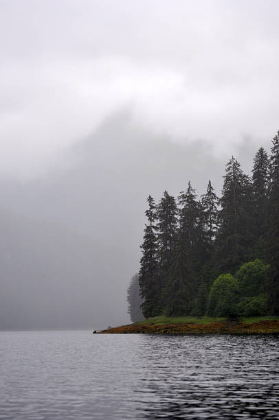 istock Misty Fjord 585177418