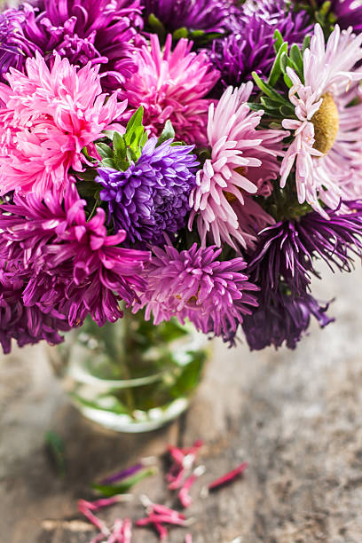 bouquet di astri in un vaso su uno sfondo di legno - vertical studio shot indoors pink foto e immagini stock