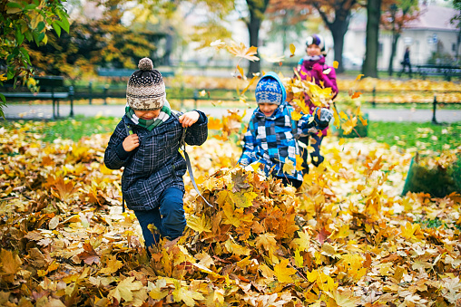 Brothers and sister running and kicking leaves in autumn park. The kids are laughing happily. 