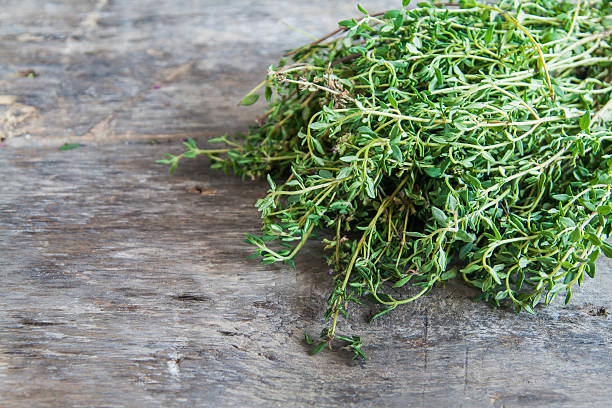 bunch of fresh estragon on a wooden table background - tarragon close up herb bunch imagens e fotografias de stock