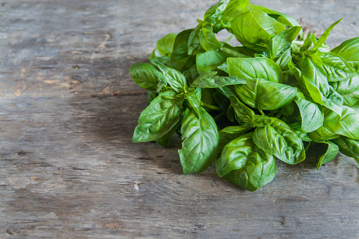 bunch of basil lie on a wooden table background.