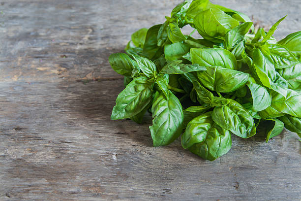 bunch of basil lie on a wooden table background stock photo