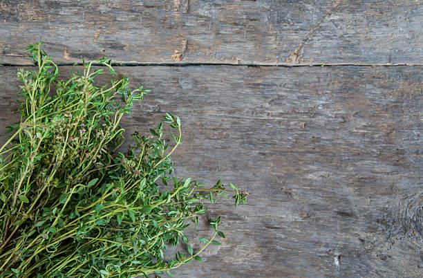 bunch of fresh estragon on a wooden table background - tarragon close up herb bunch imagens e fotografias de stock