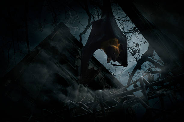istock Bat scream over fence, castle and cloudy sky, Halloween concept 585181244