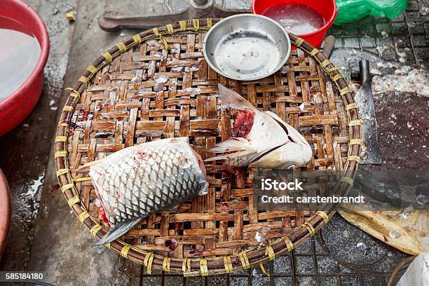 Freshly Prepared Fish Stock Photo - Download Image Now - Animal Scale, Basket, Capital Cities