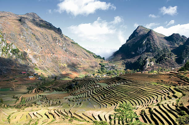 terrazza rice ad hagiang, vietnam - vietnam vietnamese culture vietnamese ethnicity north vietnam foto e immagini stock