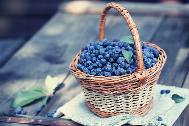 istock Prunus spinosa in the basket 585189170