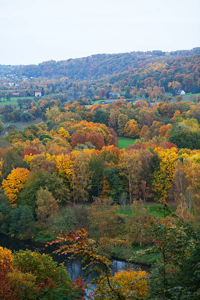 istock Valley Ruhr between Essen Kettwig and Werden in autumn 585190984