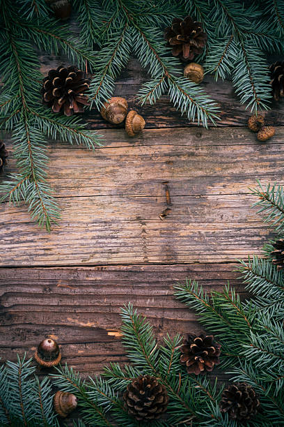 istock Christmas tree spruce pine wooden 585192362