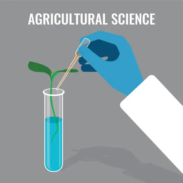 Vector illustration of Agricultural science concept showing sprout in glass tube