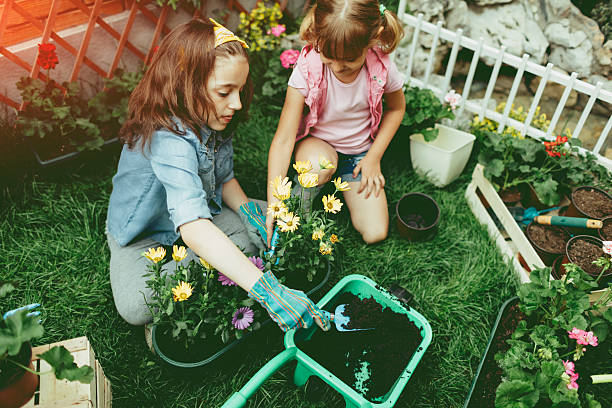 istock Cute Sisters Planting Flowers 585282778