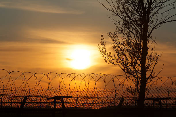 istock Tree and fence of barbed wire at sunset 585287754