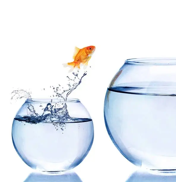 Goldfish Jumping to a Bigger Fishbowl