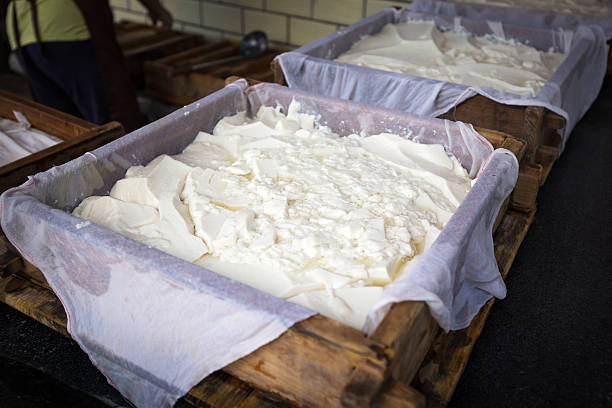 Tofu making stock photo