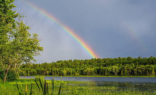 istock Summer rainbow over an Eastern Ontario Lake after rain storm. 585294452