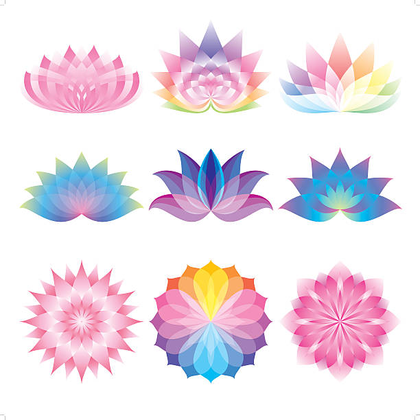 beautiful lotus set A set of 9 colorful lotus flower icon. Everything is grouped individually. lotus water lily illustrations stock illustrations