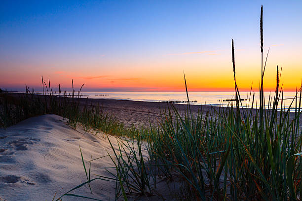 istock Seaside with tuft of grass, sand dunes and colorful sky. 585299312