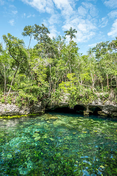 istock cenote, natural pool in yuctan mexico 585300208