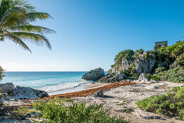 istock Tulum mayan ruins in yucatan mexico 585302154