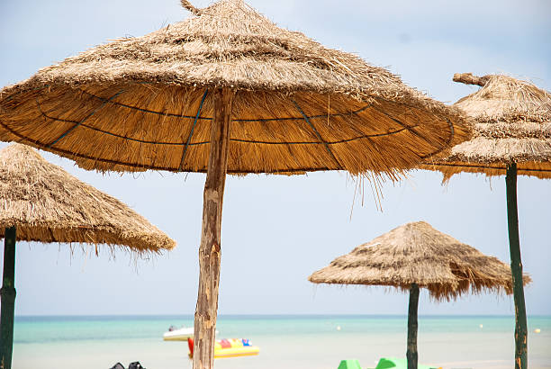 istock Wooden straw umbrellas on the beach 585302740