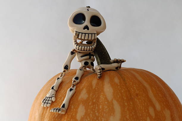 istock SPOTLIGHT A FUNNY LAUGHING SKELETON RISEN UP A PUMPKIN 585304434