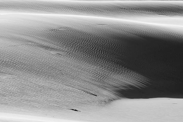 istock beautiful view of the coastal dunes 585305608